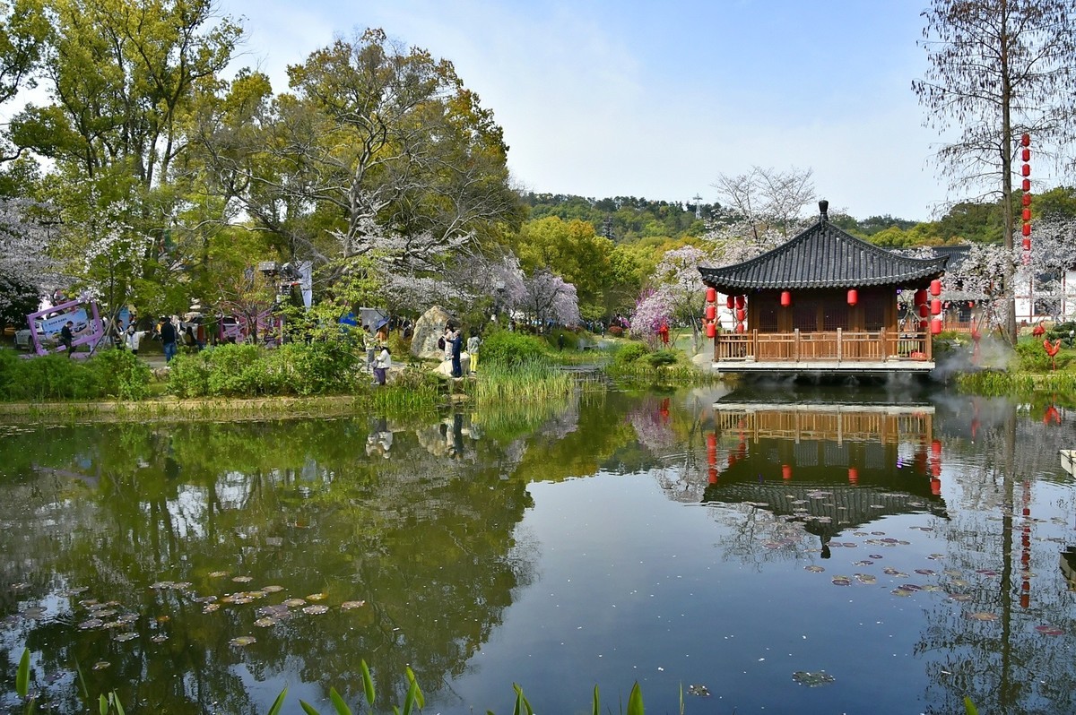东湖樱花园
