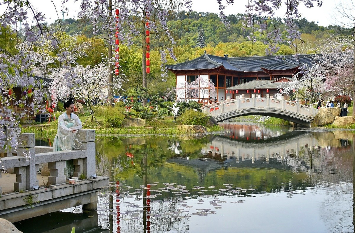 东湖樱花园