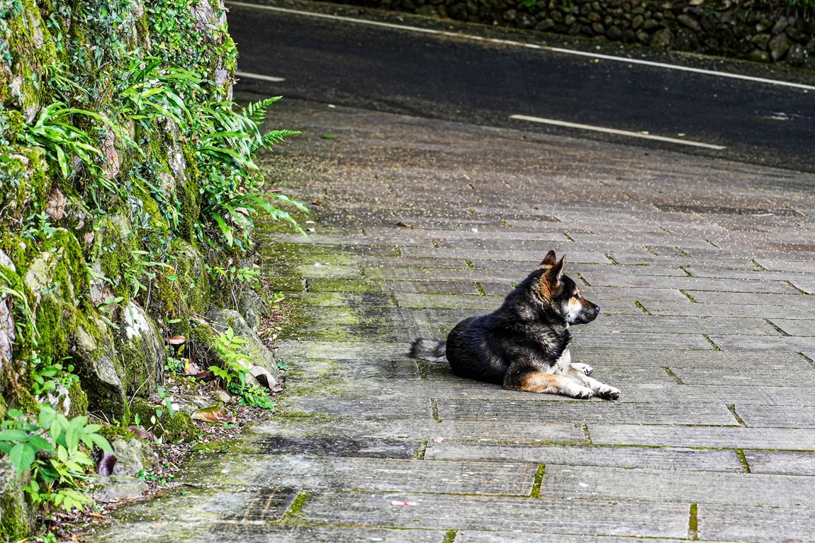 浙南--遂昌独山村【2】