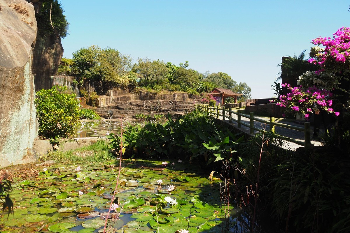 广州番禺——莲花山（2）