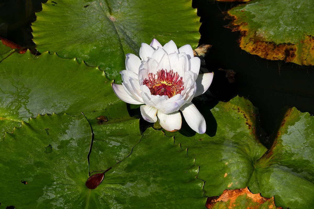 广州番禺——莲花山（2）