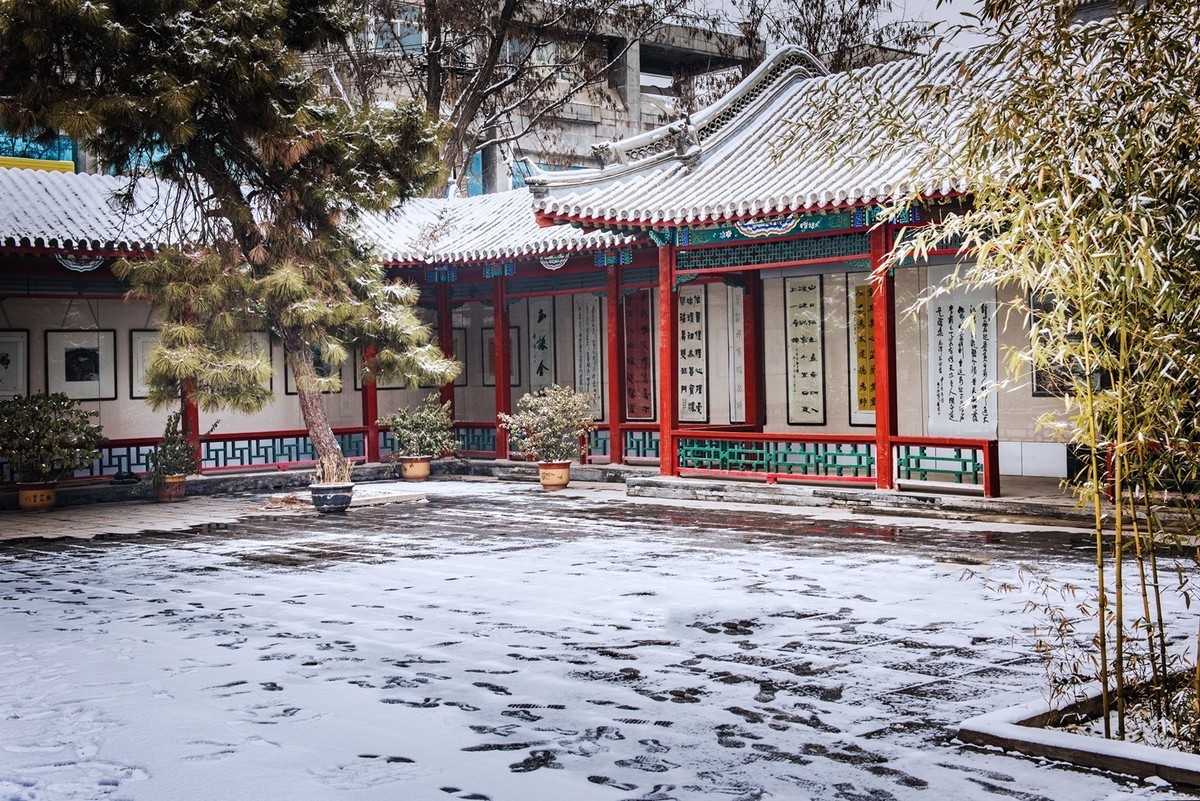 #一张照片一座城#保定●古莲池（雪景）