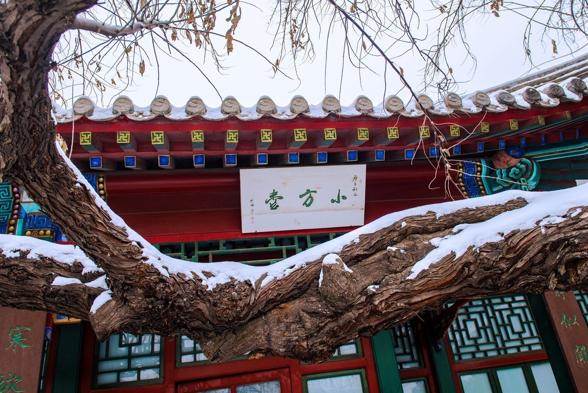 #一张照片一座城#保定●古莲池（雪景）