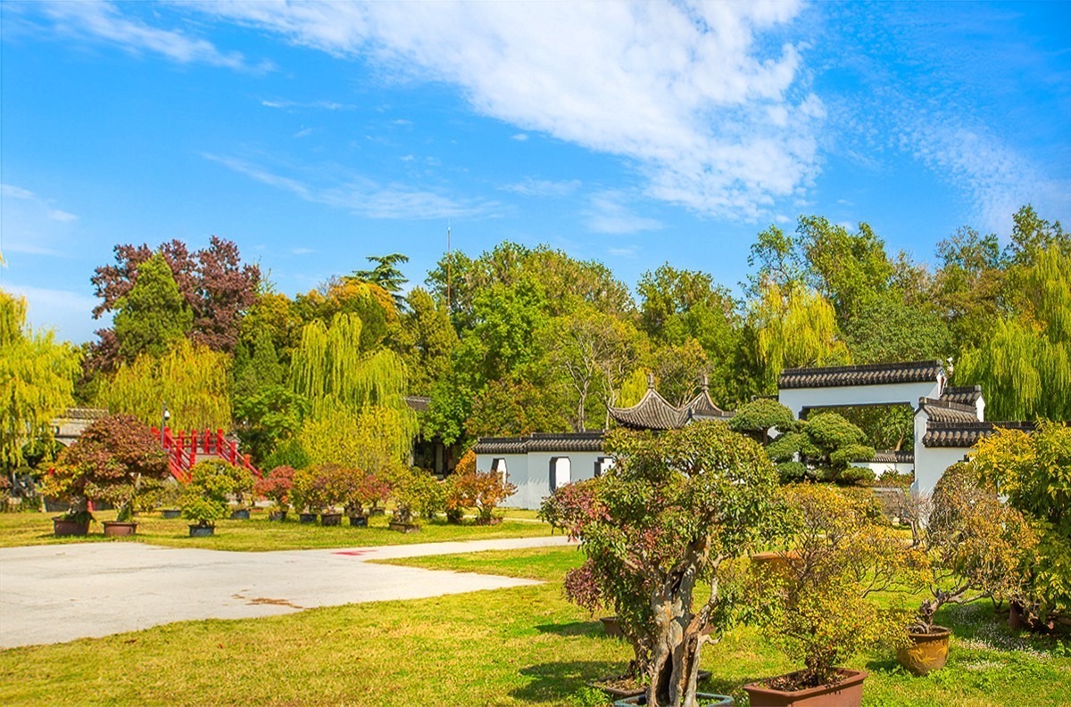 2023-06-21扬州盆景园（二）