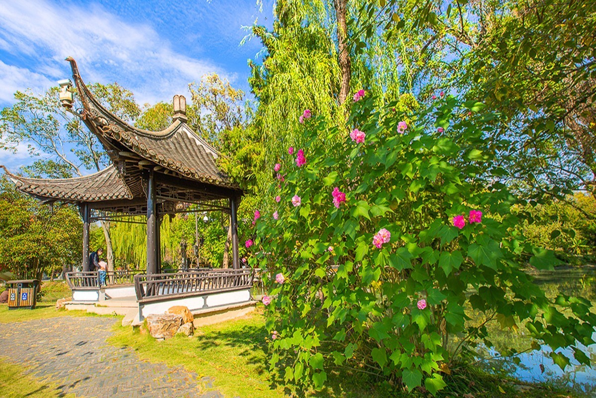 2023-06-21扬州盆景园（二）