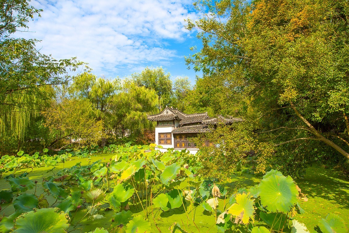 2023-06-21扬州盆景园（二）