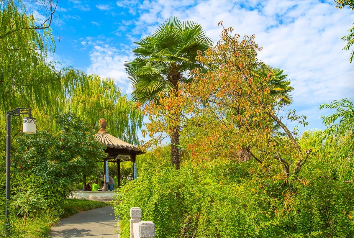 2023-06-21扬州盆景园（二）