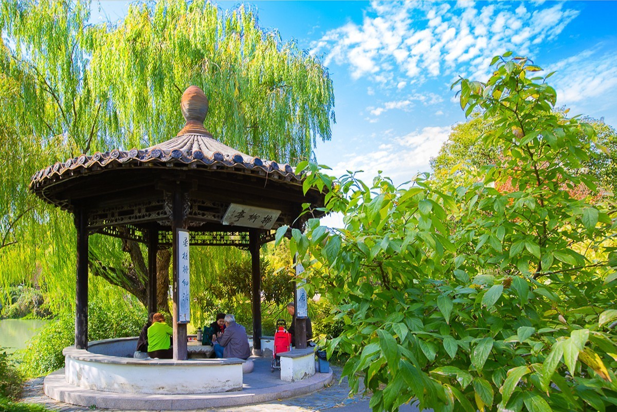 2023-06-21扬州盆景园（二）