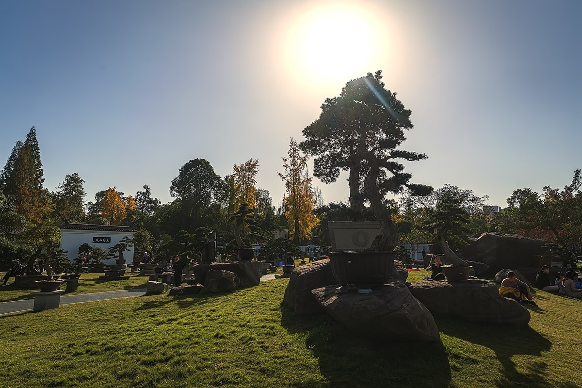 成都初冬 · 暖阳下的易园、蜀园