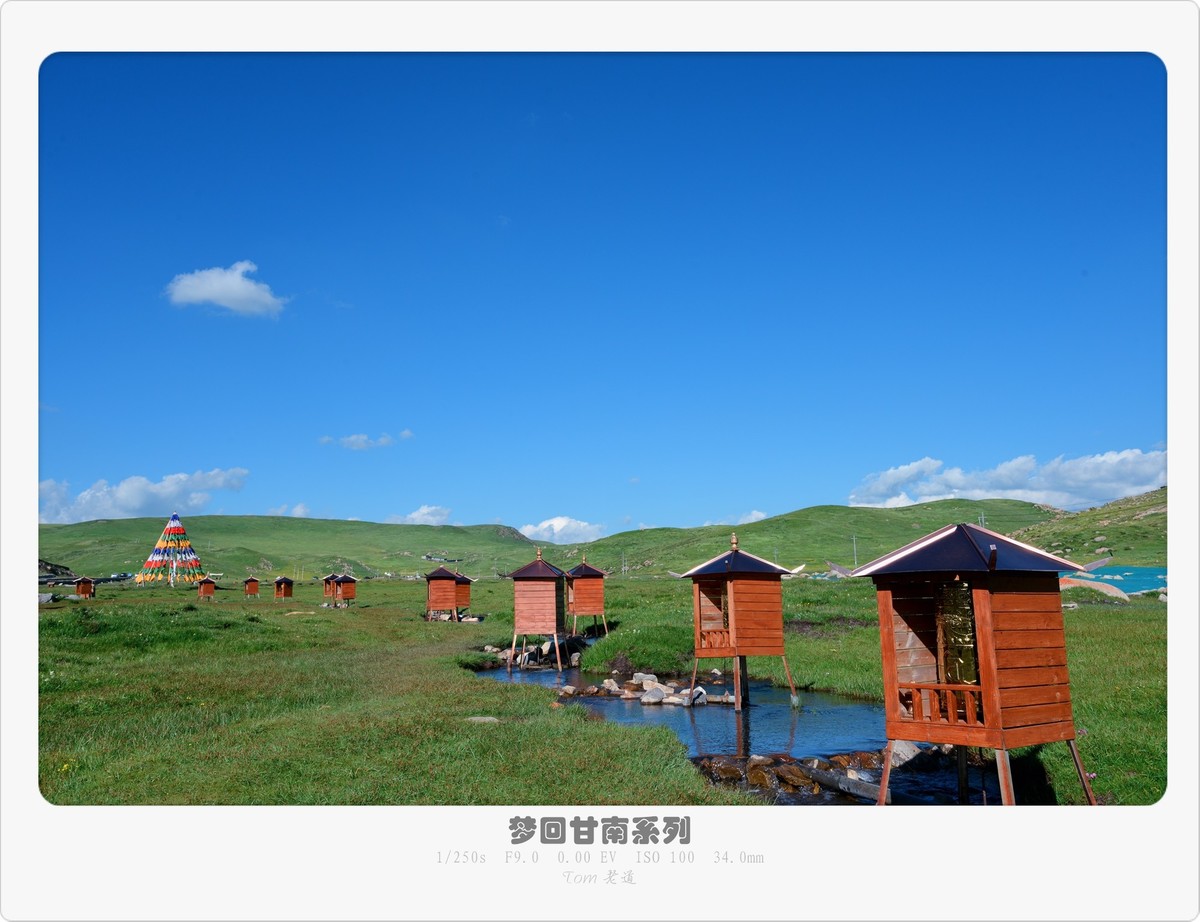 梦回甘南系列！