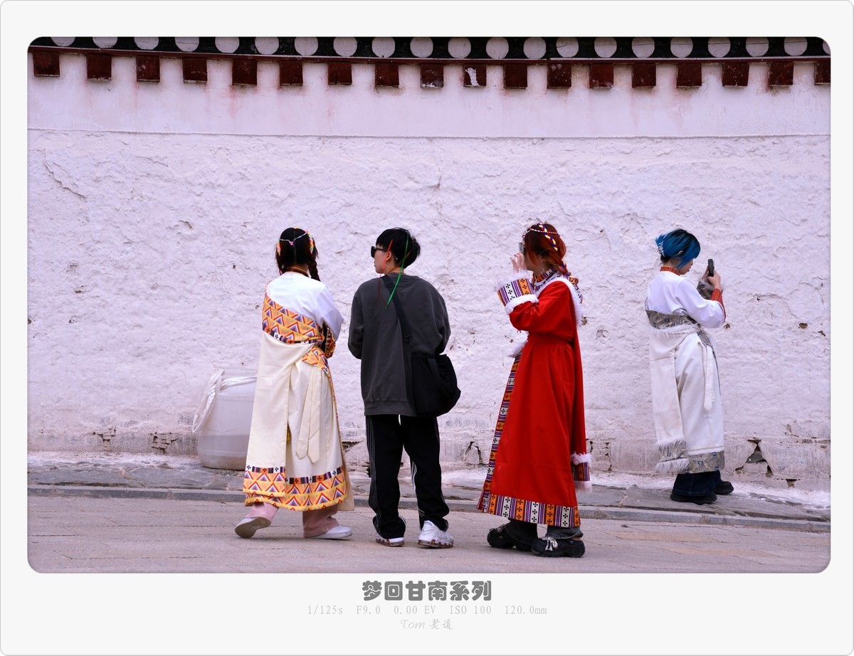 梦回甘南系列！
