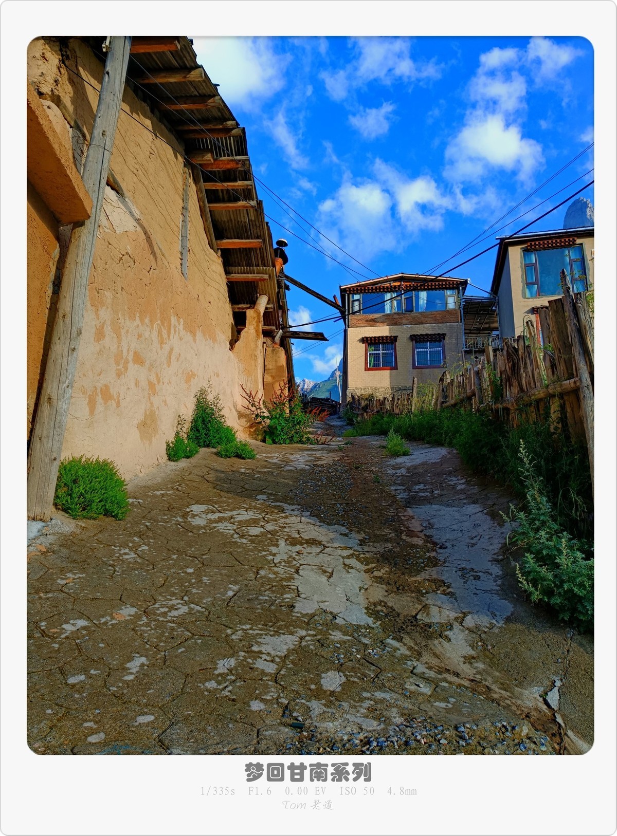 梦回甘南系列！