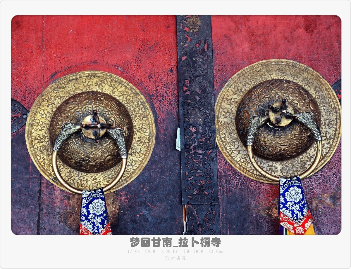 梦回甘南系列！