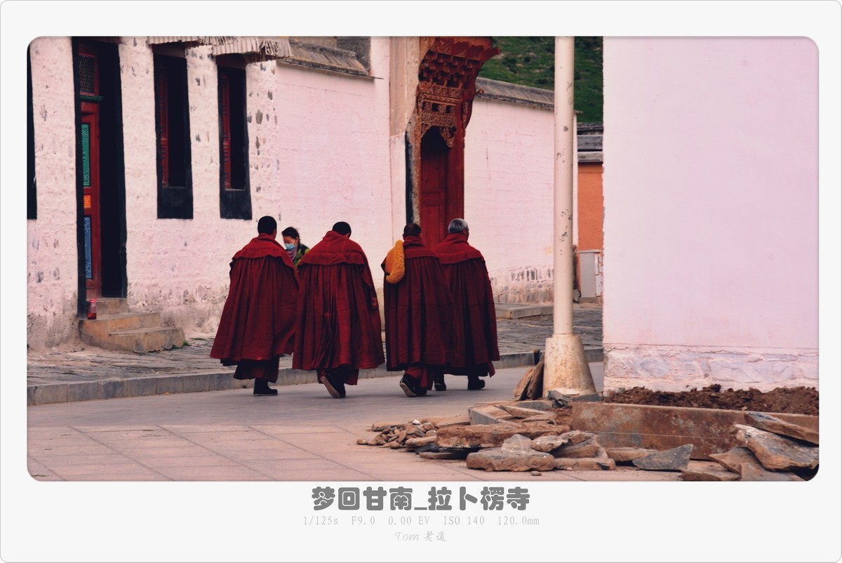 梦回甘南系列！