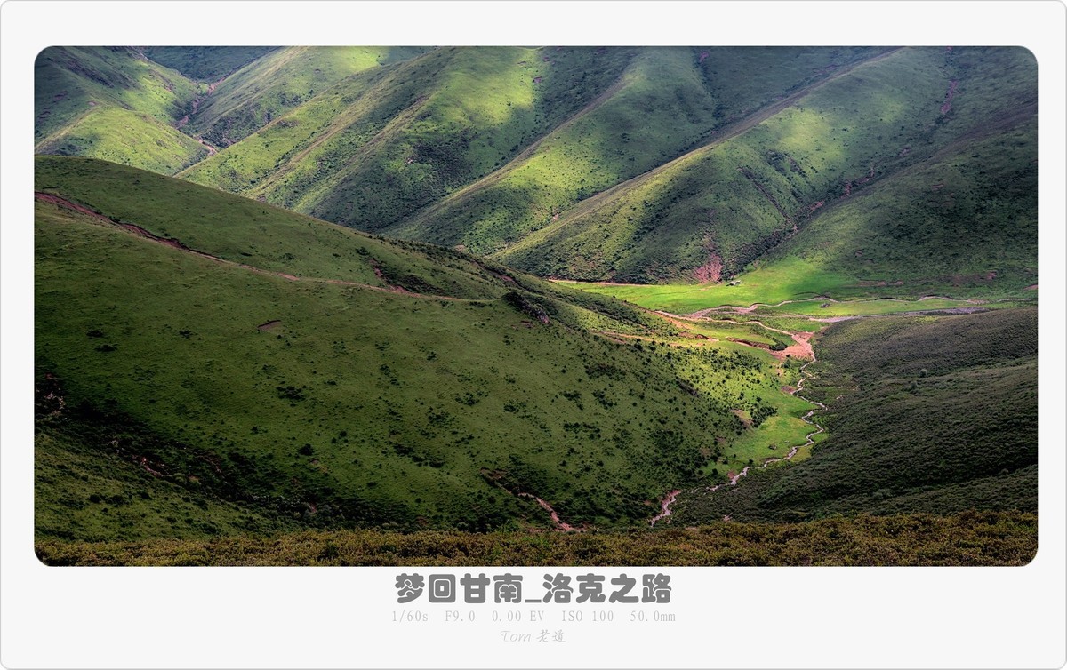 梦回甘南系列！