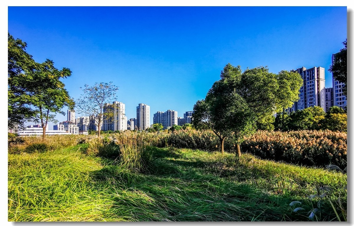 金银湖拾景（上海南翔）
