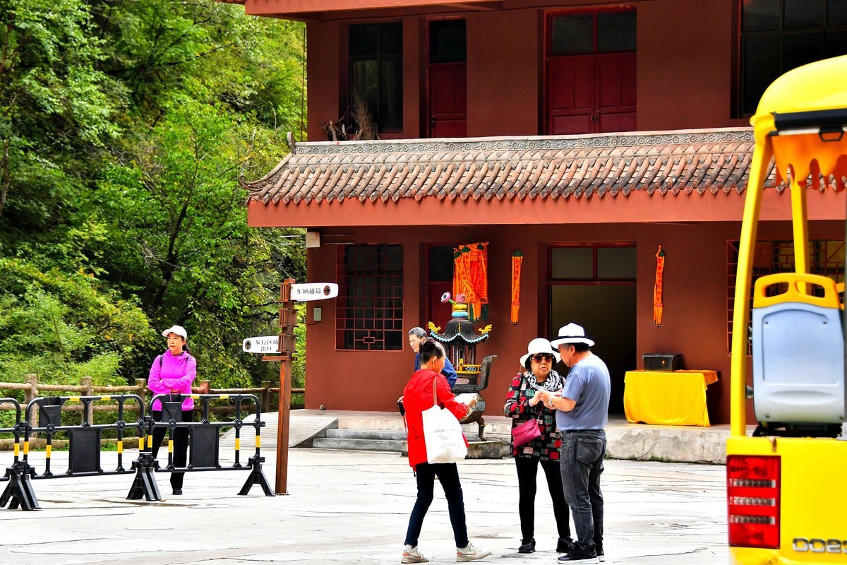 【植树节】甘南官鹅沟风光