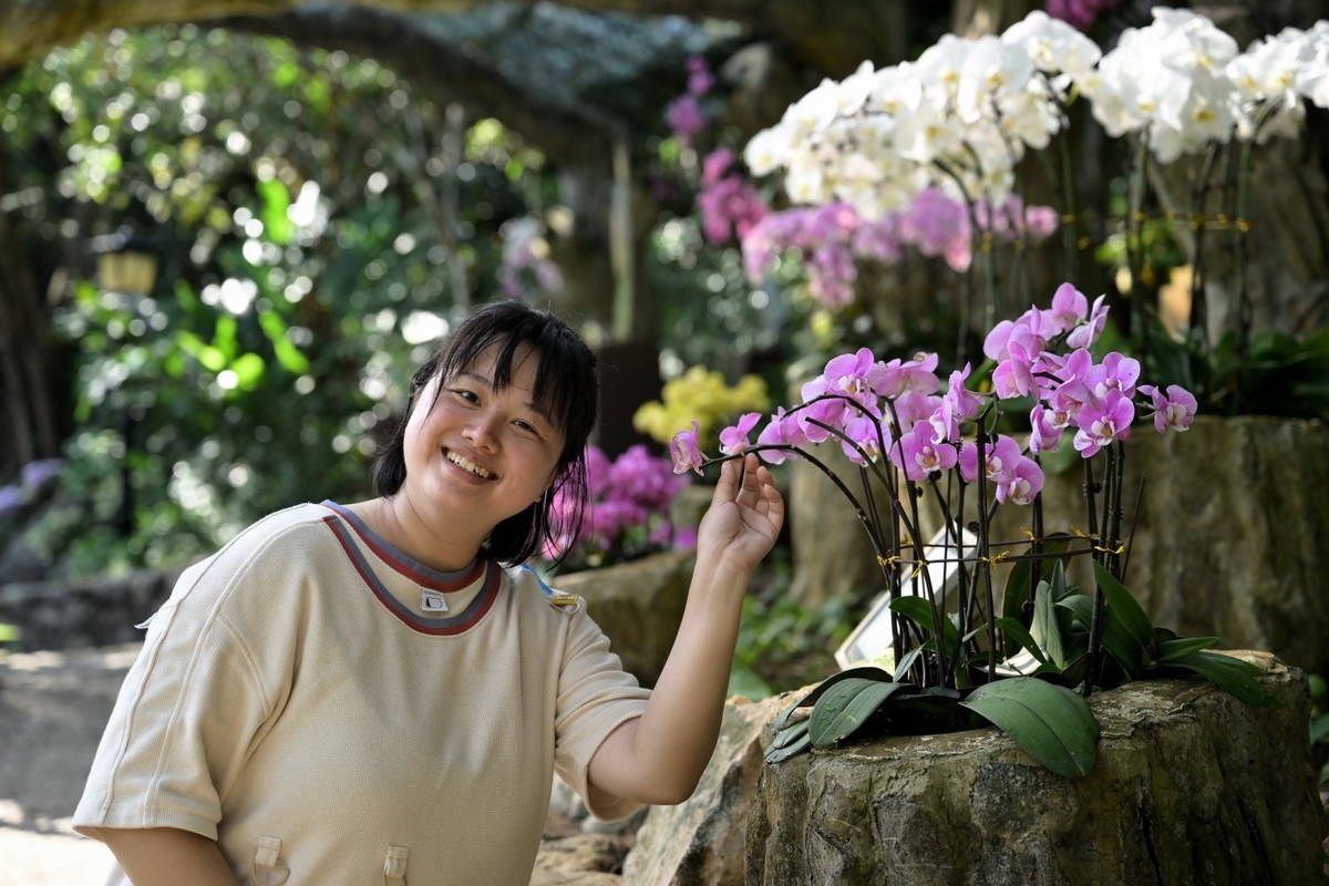 三亚热带雨林公园看风景（A）