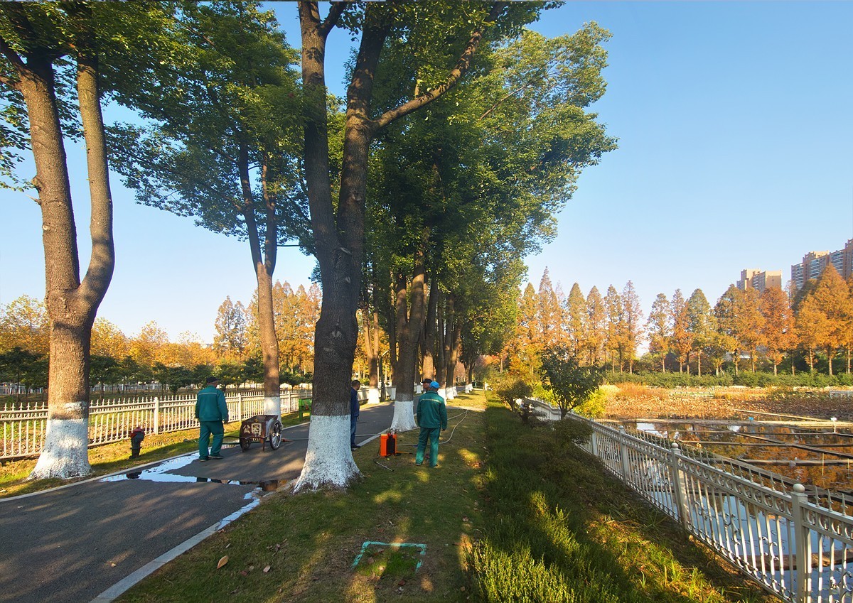 武汉园林科普公园7