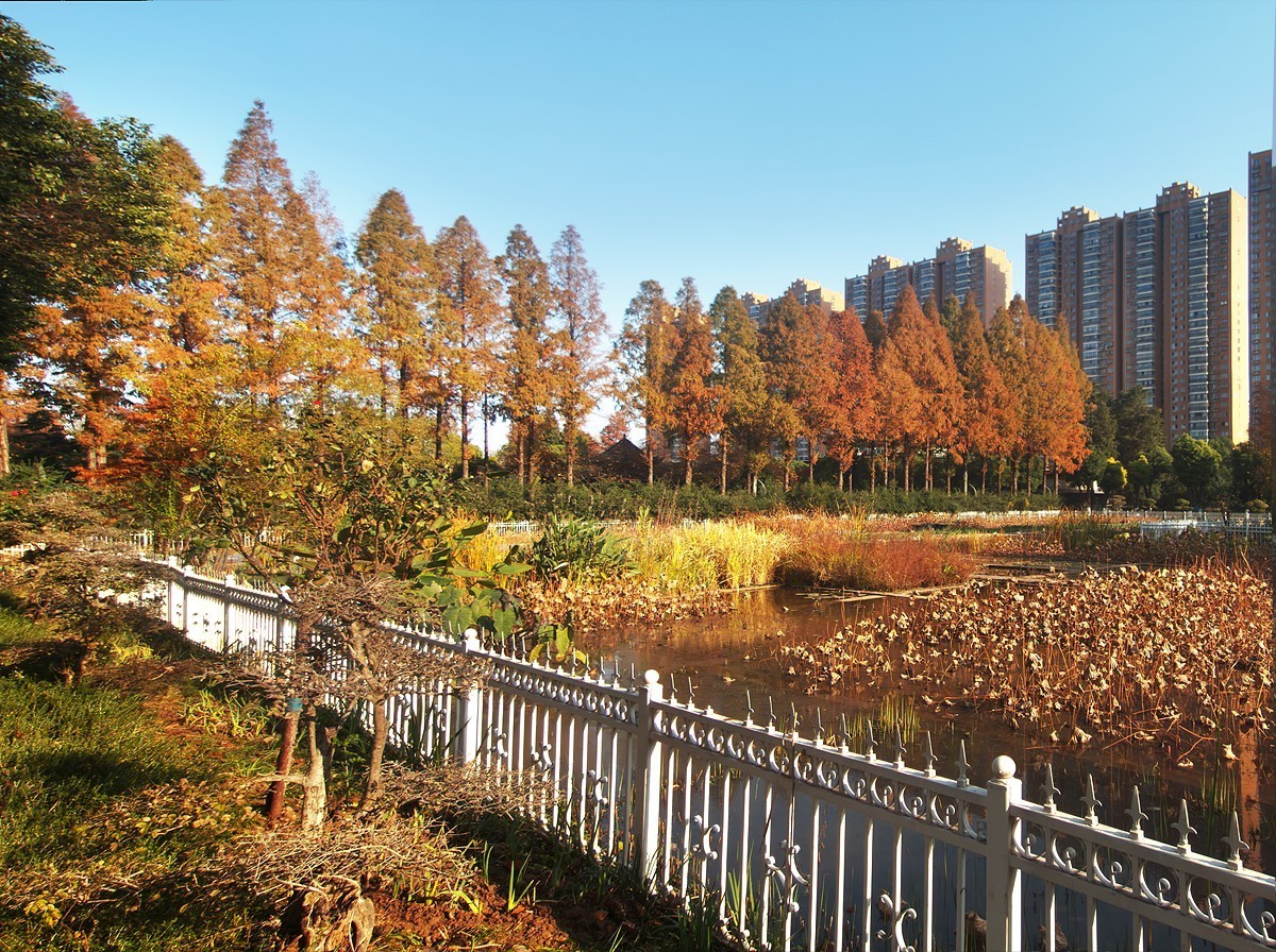 武汉园林科普公园7