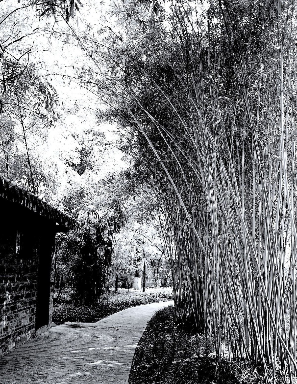 黑白照片。。。。。。。