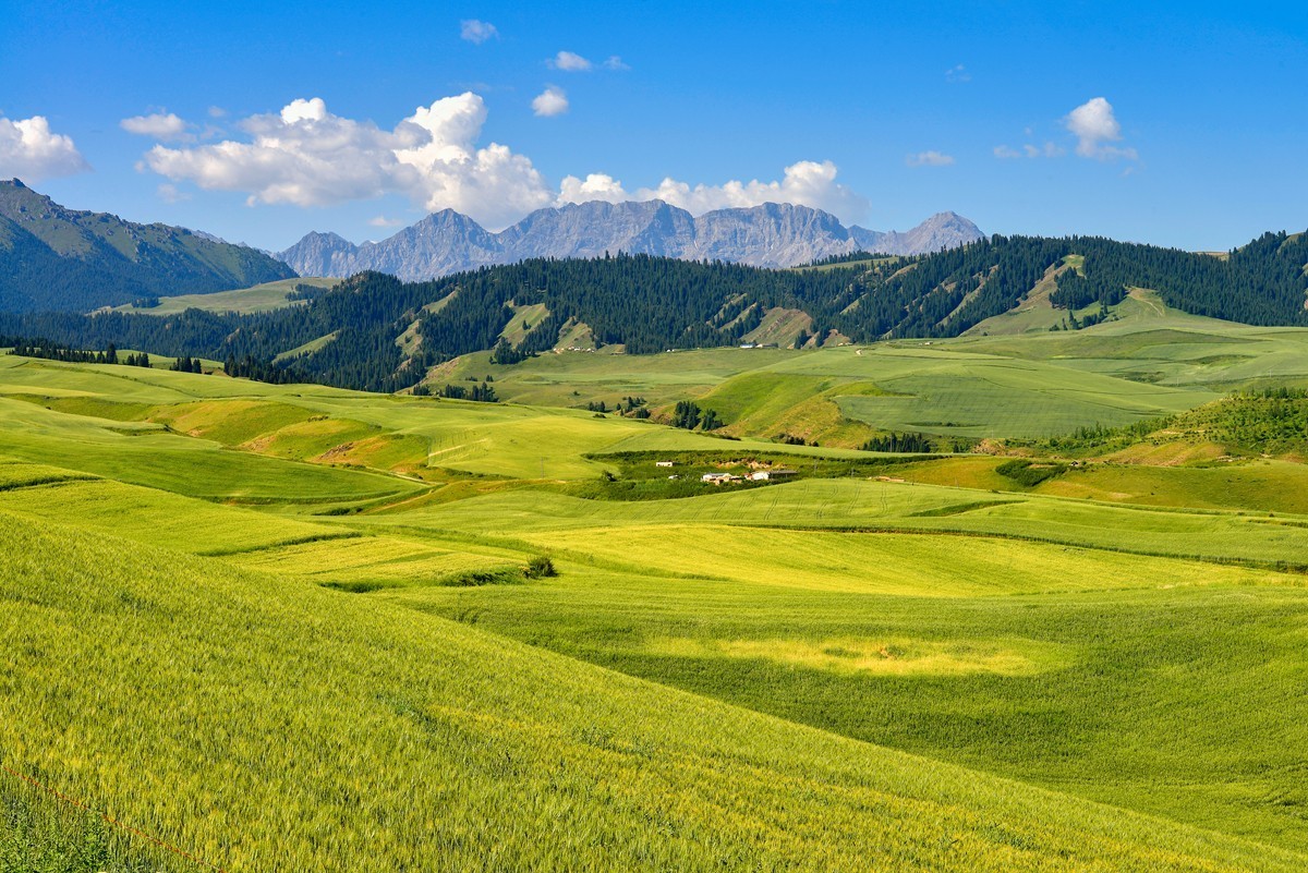 江布拉克（中）