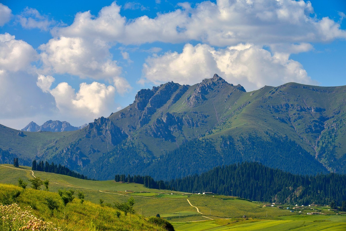 江布拉克（中）