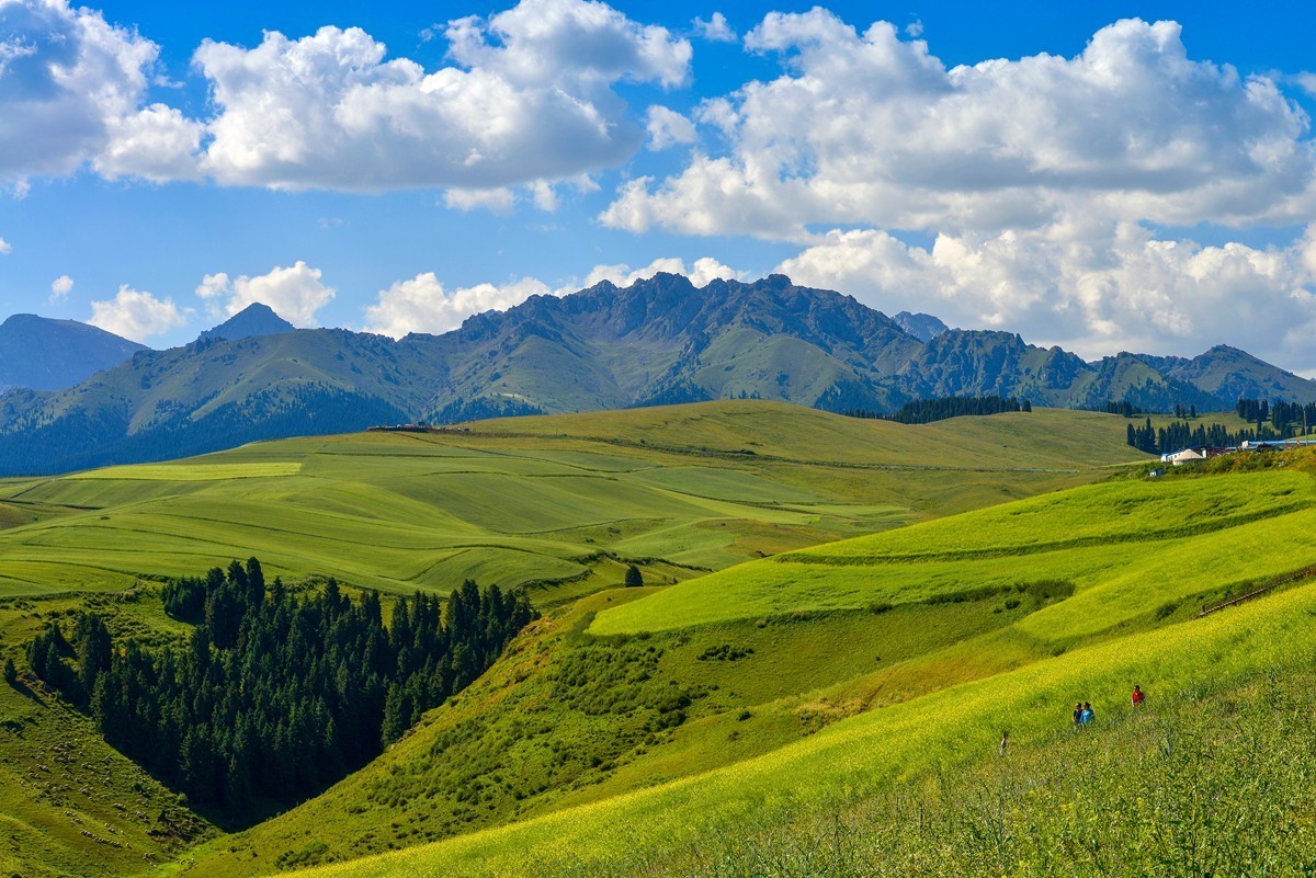 江布拉克（中）