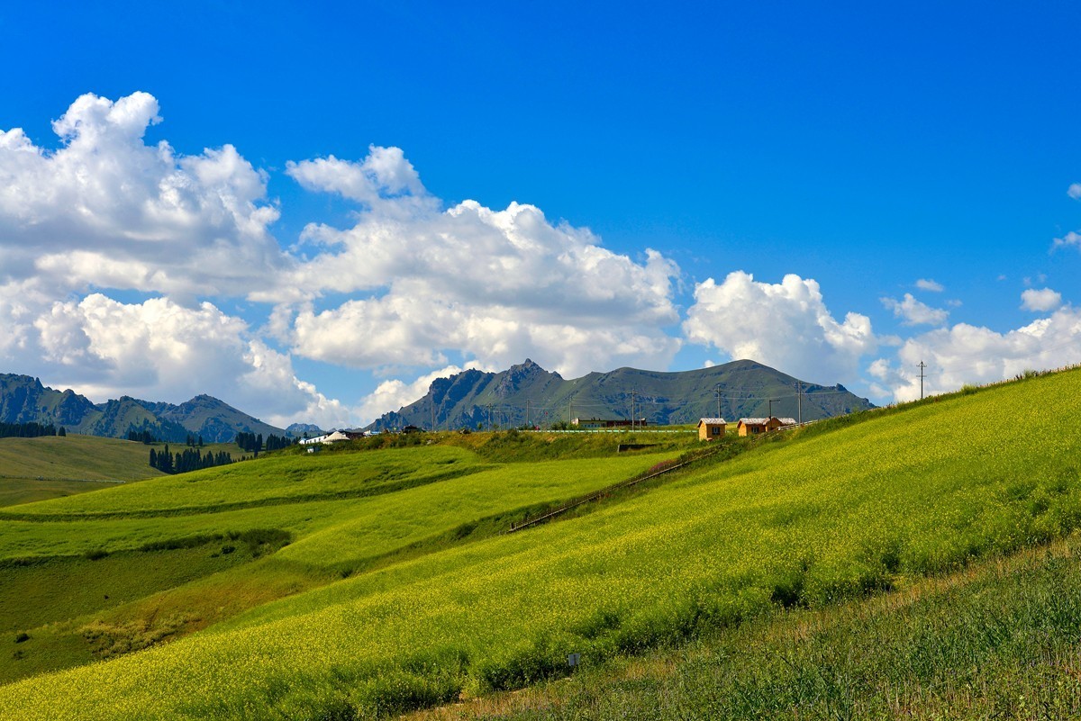 江布拉克（中）