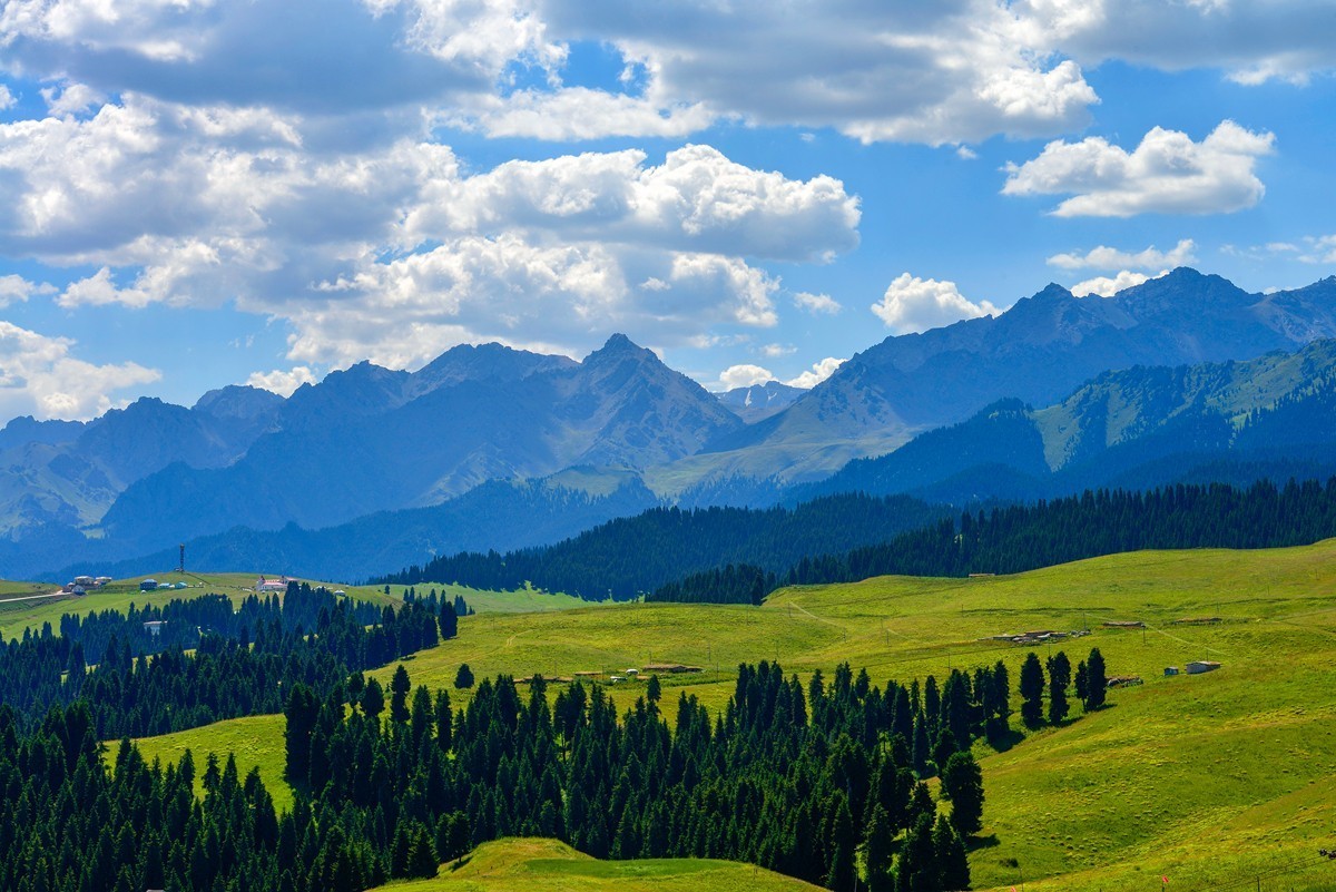 江布拉克（中）