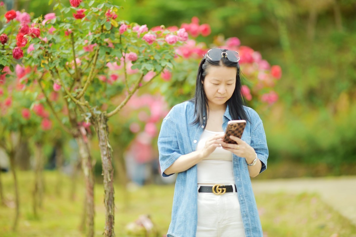 游宁国诚信园林月季园D4S+105 1.4E/ZF 50 1.2