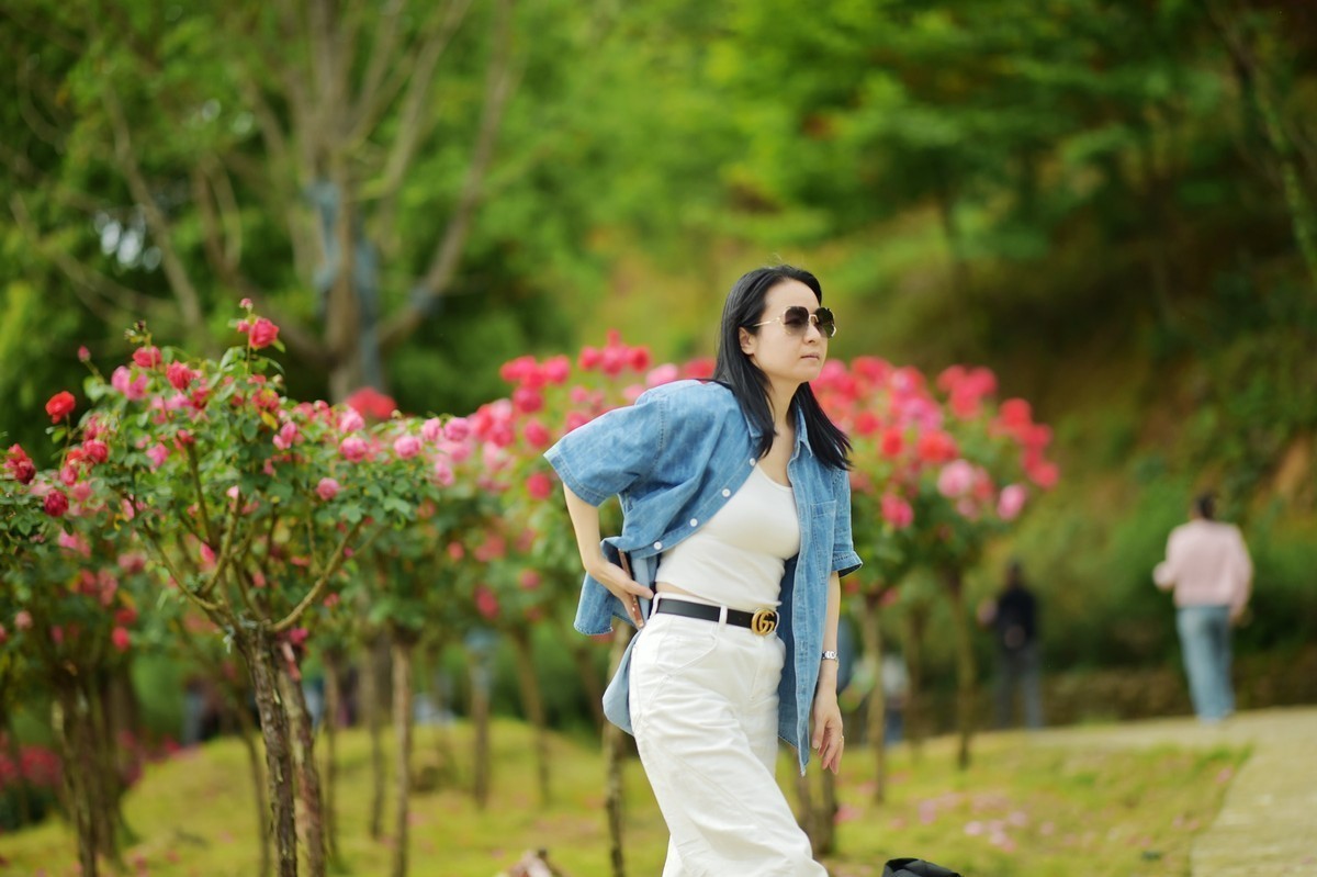 游宁国诚信园林月季园D4S+105 1.4E/ZF 50 1.2