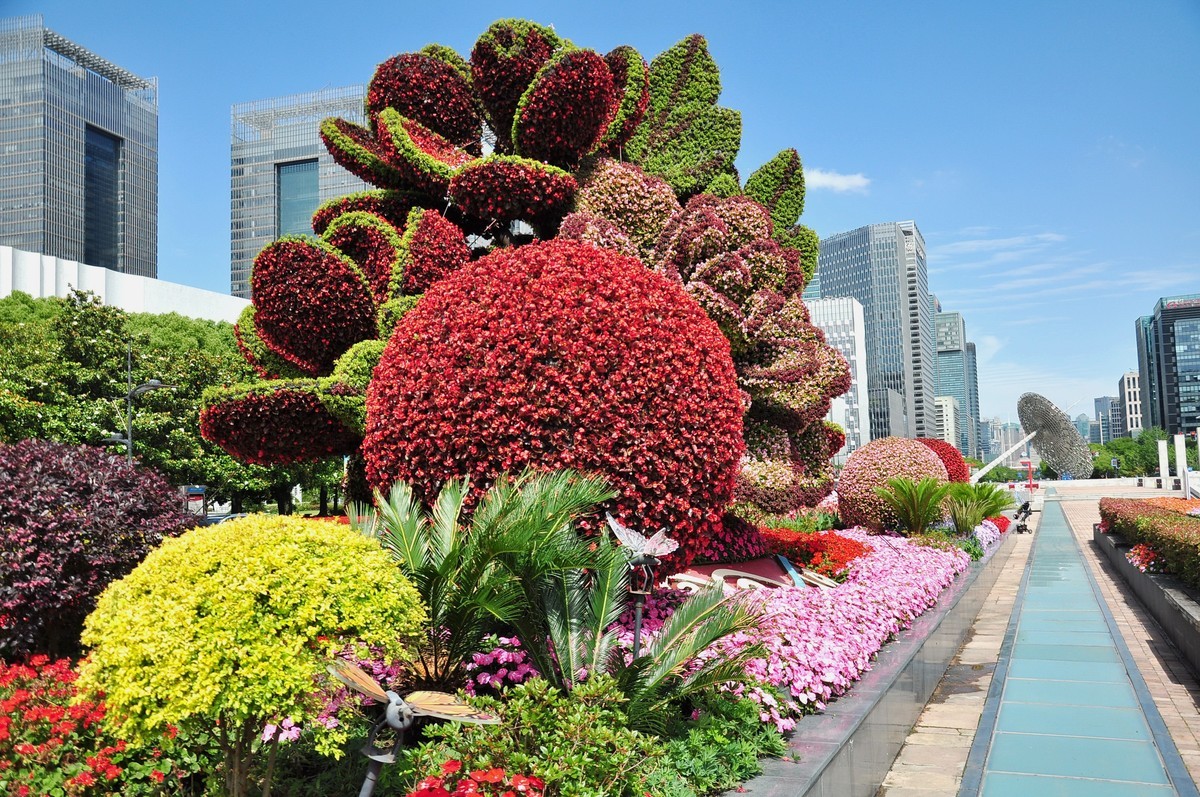 拿着相机继续扫街