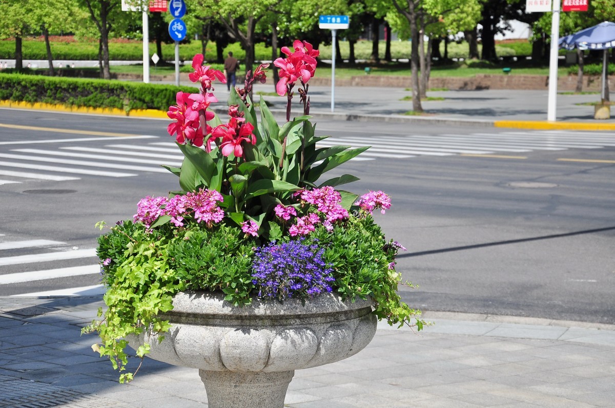 拿着相机继续扫街