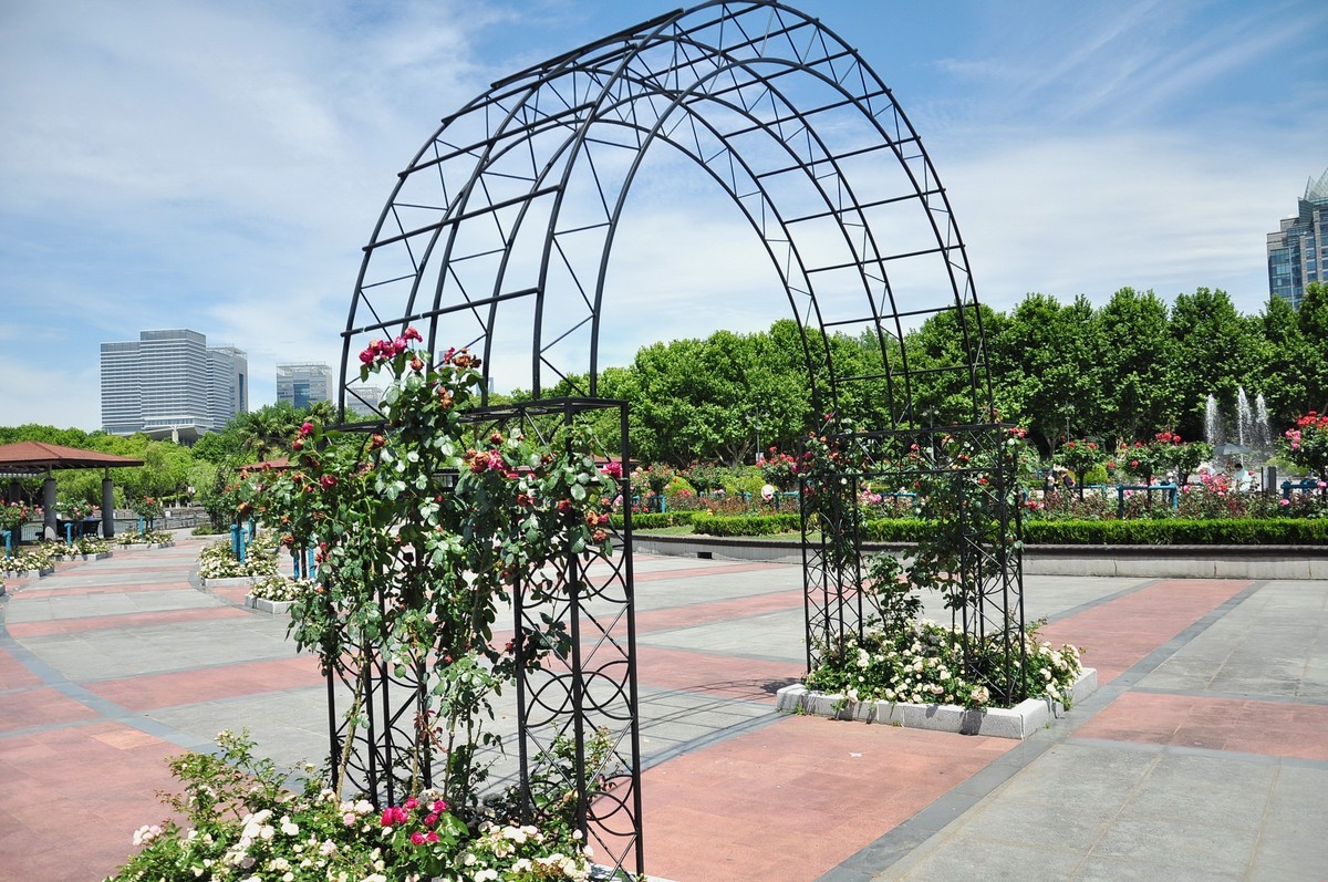 拿着相机继续扫街