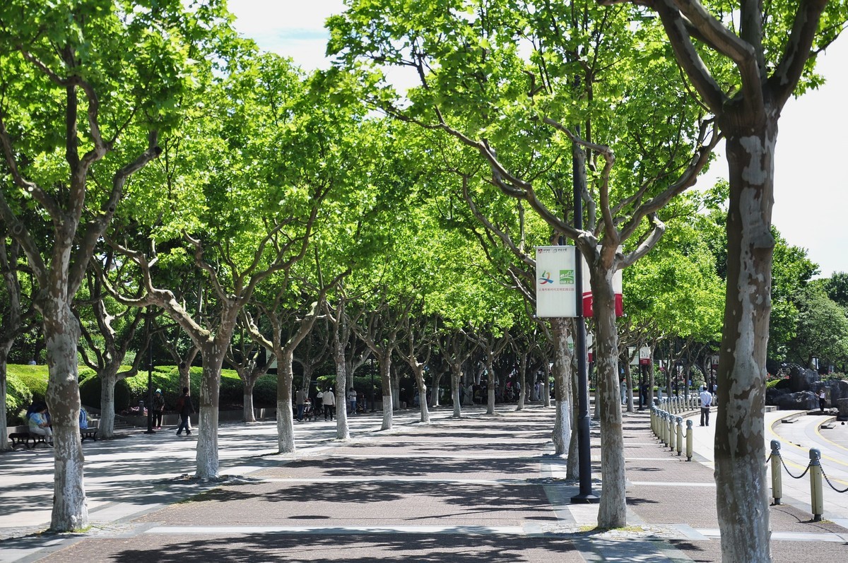 拿着相机继续扫街