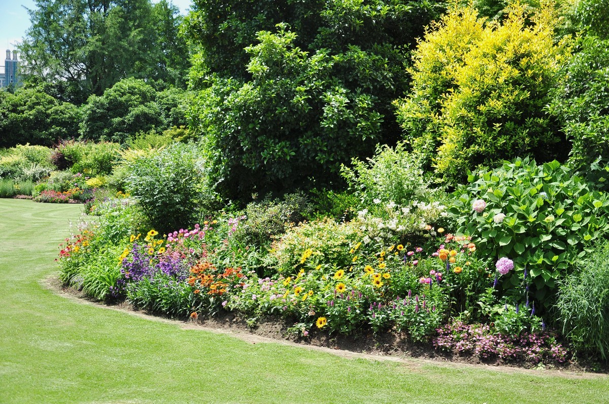 拿着相机继续扫街