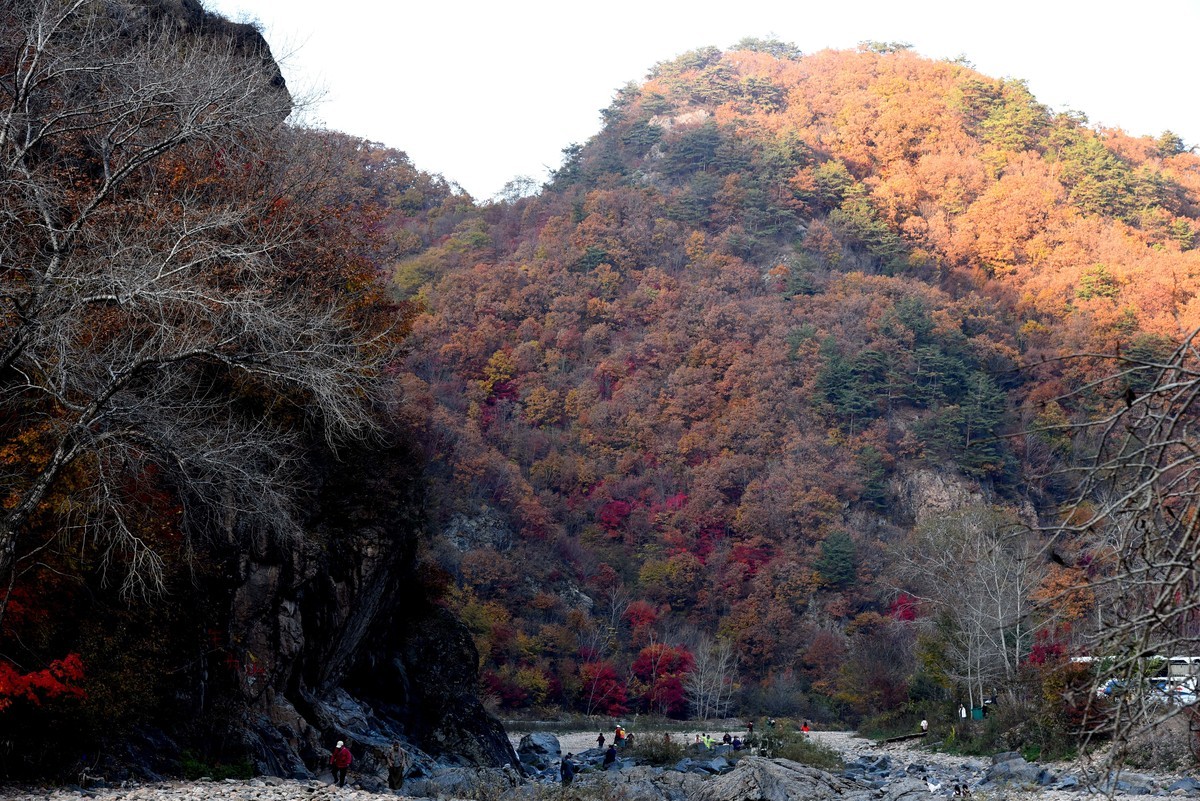 本溪湖里枫叶美