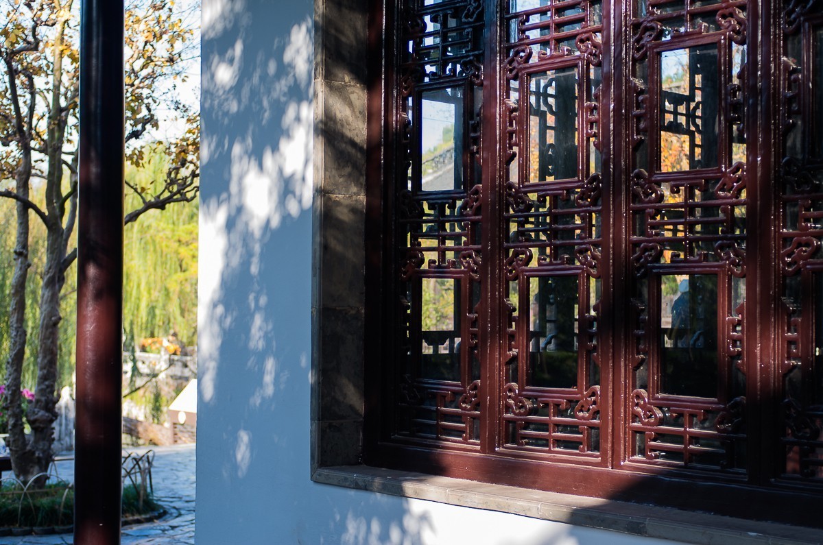 秋尽江南草未凋（扬州瘦西湖随拍）