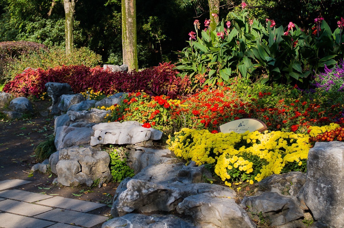 秋尽江南草未凋（扬州瘦西湖随拍）