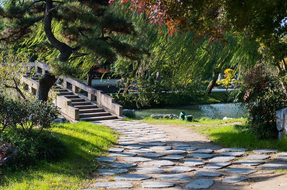 秋尽江南草未凋（扬州瘦西湖随拍）
