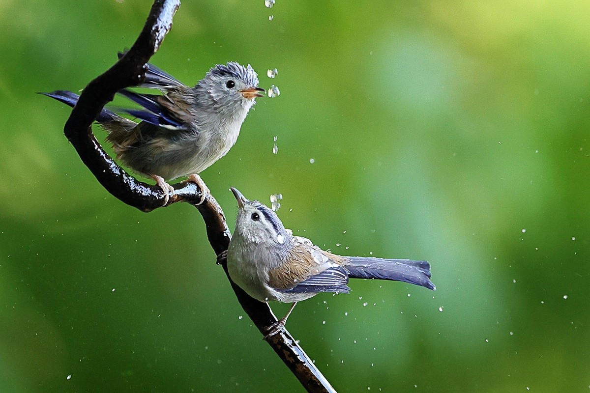 祝你，春至有花，秋临有果。