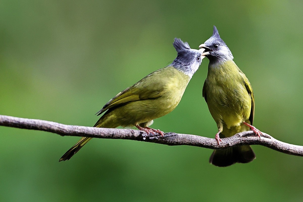 祝你，春至有花，秋临有果。