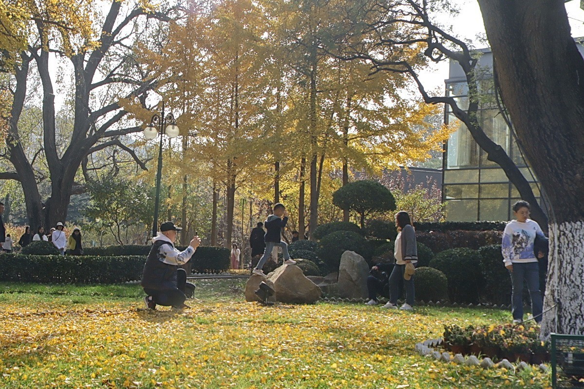 滨城游拍——儿童公园（2024-2）