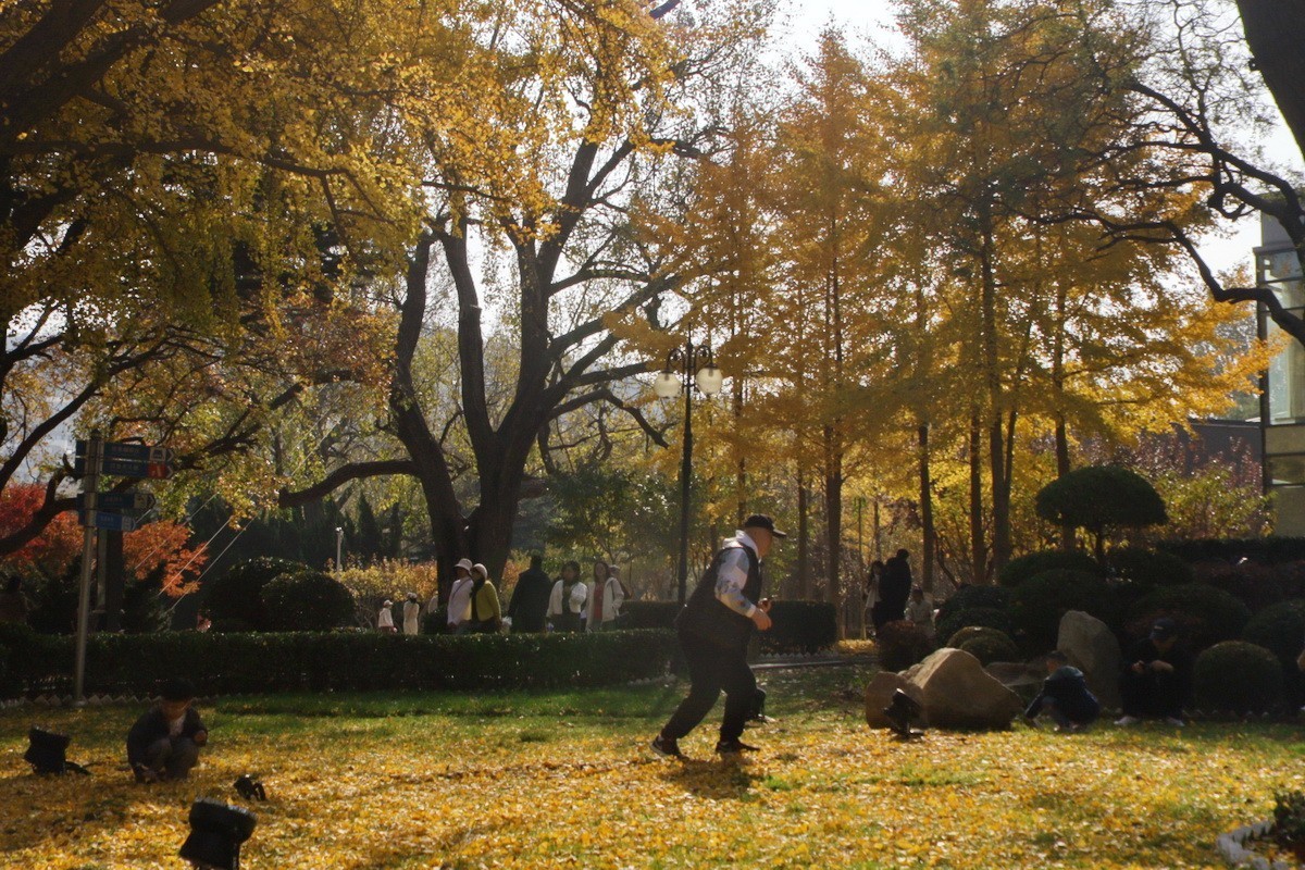 滨城游拍——儿童公园（2024-2）