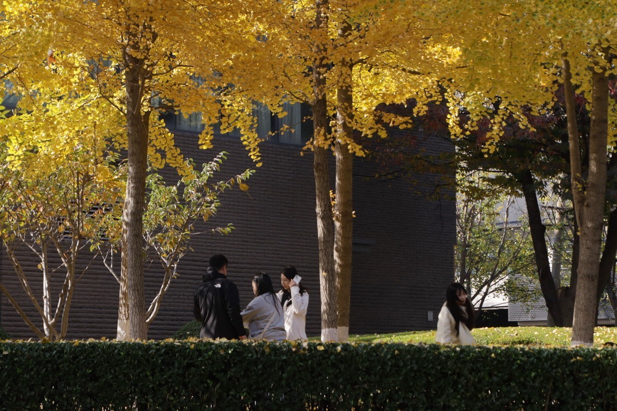 滨城游拍——儿童公园（2024-2）