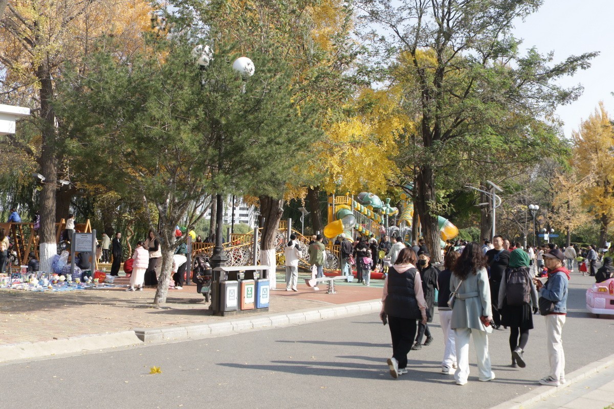 滨城游拍——儿童公园（2024-2）