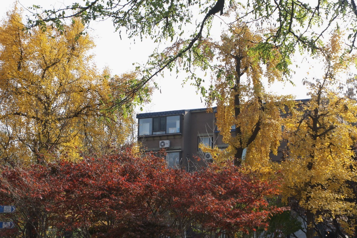 滨城游拍——儿童公园（2024-2）