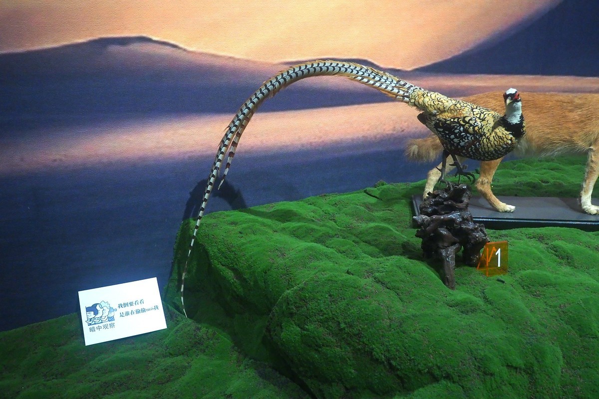 《珍奇生灵—濒危动物展》上