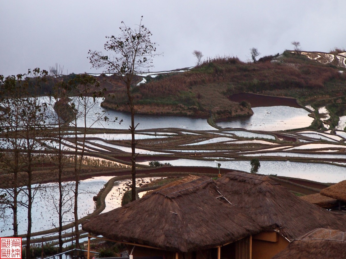 2023元阳梯田一路随拍（15）